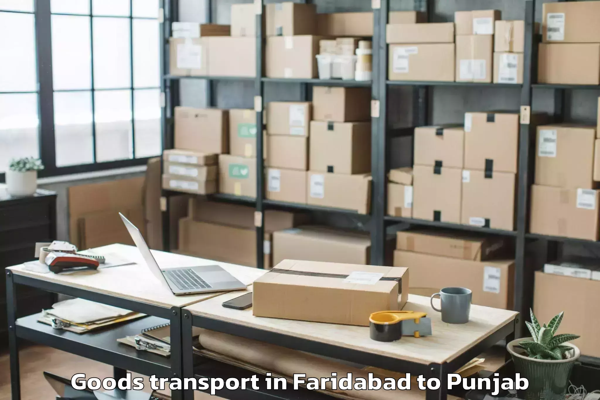 Expert Faridabad to Ferozepore Goods Transport